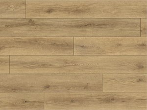 Paradigm Conquest Drawbridge 9 x 72